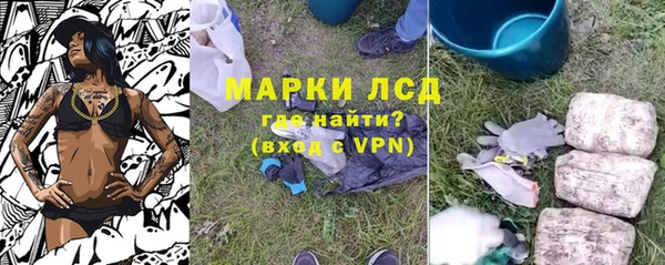 PSILOCYBIN Покачи