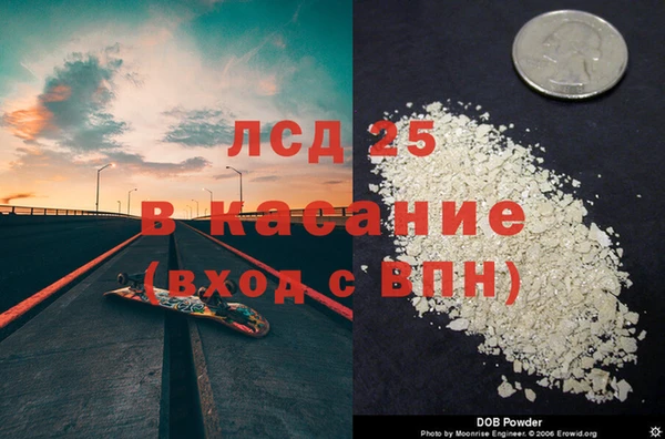 PSILOCYBIN Покачи