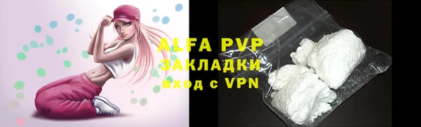 PSILOCYBIN Покачи