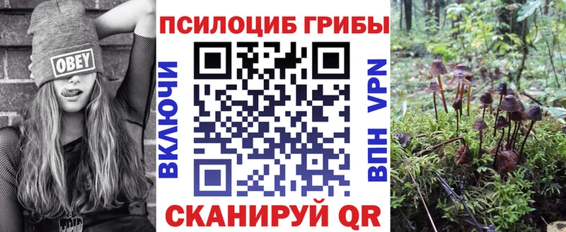 Купить закладки  Фёдоровский  Псилоцибиновые грибы Psilocybe 
